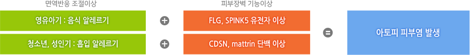 면역반응 조절이상 과 피부장벽 기능이상이 발생하면 아토피 피부염을 발생
