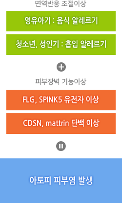 면역반응 조절이상 과 피부장벽 기능이상이 발생하면 아토피 피부염을 발생