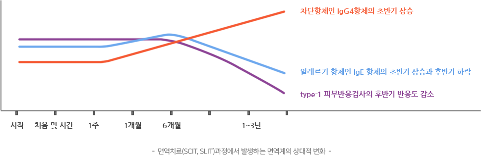 면역치료(SCIT, SLIT)과정에서 발생하는 면역계의 상대적 변화