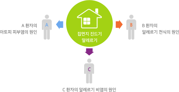 집먼지 진드기 알레르기는 아토피피부염의 원인, 알레르기 천식의 원인, 알레르기 비염의 원인입니다.
